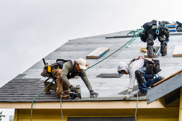 Professional Roofing technician working in Larkspur, CO